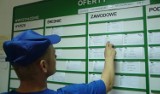 Praca w Chojnicach. Nowe oferty zatrudnienia z 30.07.2018 r. [lista ogłoszeń o pracę z PUP]