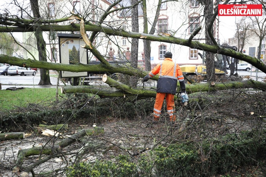 Zniszczenia w parkach i duże opóźnienia pociągów na trasie Oleśnica - Wrocław [AKTUALIZACJA]