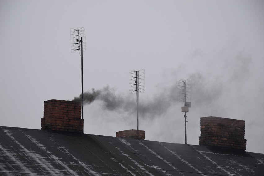 Program Stop Smog 2022 w Zduńskiej Woli. Kiedy nabór wniosków?