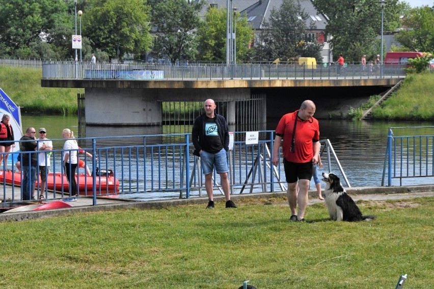 Wodne szaleństwo na kieleckim zalewie. Rozpoczął się Festiwal Sportów Wodnych [ZDJĘCIA, FILM]