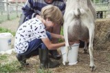 Wielkopolska wieś dla turystów. Gospodarstwa zapraszają na wypoczynek