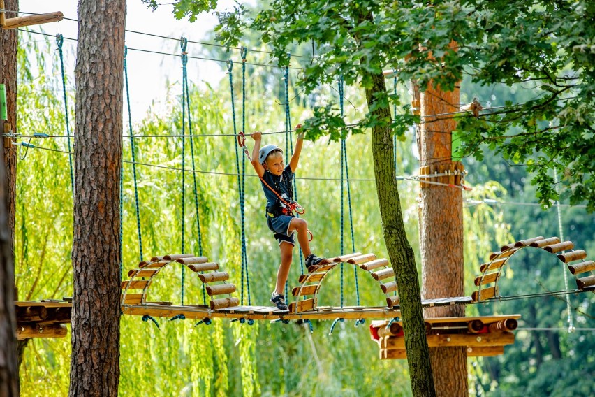 Park Linowy w Pustkowie-Osiedlu znów działa! 