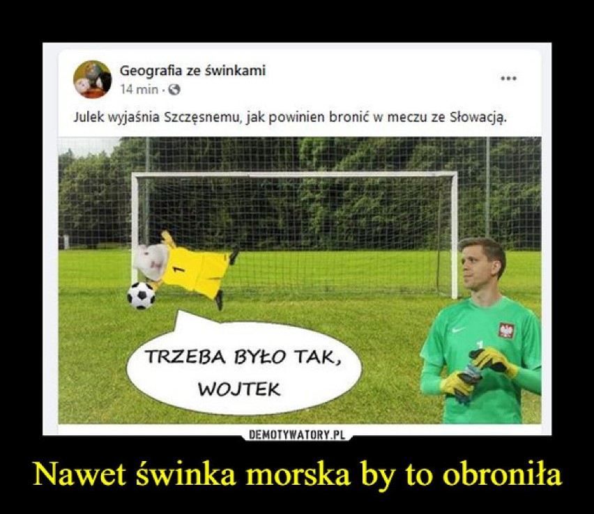 Zobacz najśmieszniejsze memy po meczu Polski ze Słowacją! 