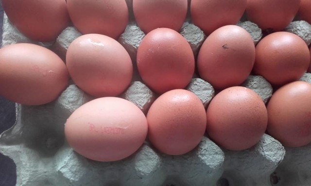 Jajeczna afera na bazarze w Legionowie. „Trójki” z chowu klatkowego zamiast swojskich jaj!