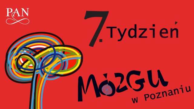 7. Tydzień Mózgu w Poznaniu organizuje Polska Akademia Nauk