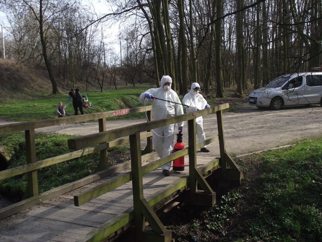 Mijają cztery lata od ogłoszenia pandemii Covid -19