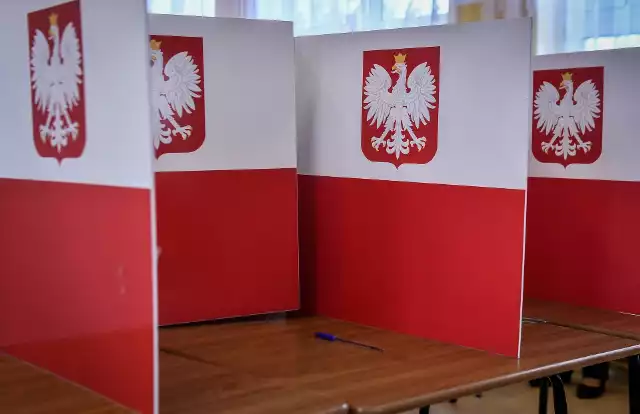 Wyniki głosowania do rady powiatu tomaszowskiego w wyborach samorządowych