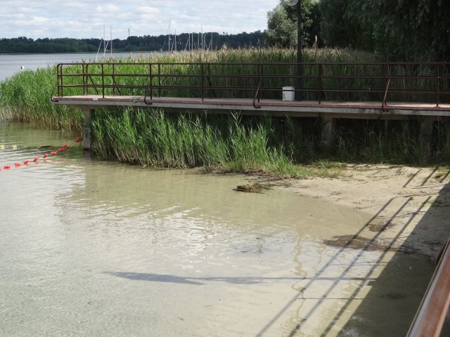 Z roku na rok w Jeziorze Głębokim, 50 km od Zielonej Góry, wody drastycznie ubywa. Jeśli nic się nie zmieni, ten akwen może wyschnąć.