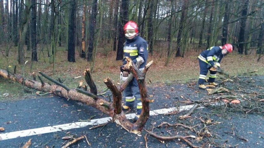 Więcej o wypadkach czytaj TUTAJ