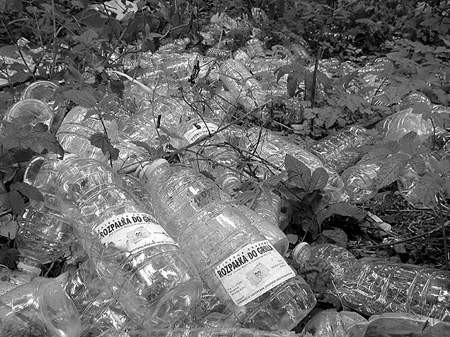 Śmieci są już wszędzie, w rowach, zagajnikach, parkach i niestety także w lesie. Fot. O. Górny