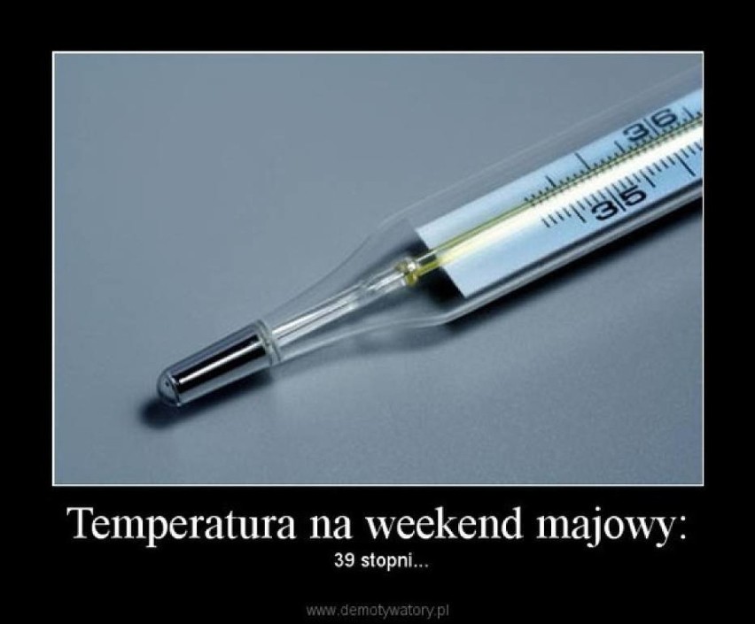 Majówka 2017. Najlepsze MEMY na długi weekend majowy [MEMY]