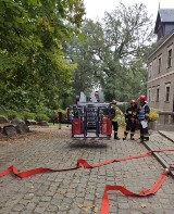 Strażacy PSP z Kalisza i Pleszewa oraz z czterech jednostek OSP ćwiczyli na zamku ZDJĘCIA