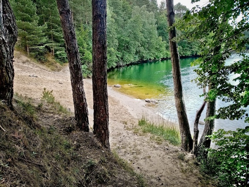 Piękna dzika plaża w Janowie. Wygląda uroczo latem, wiosną,...