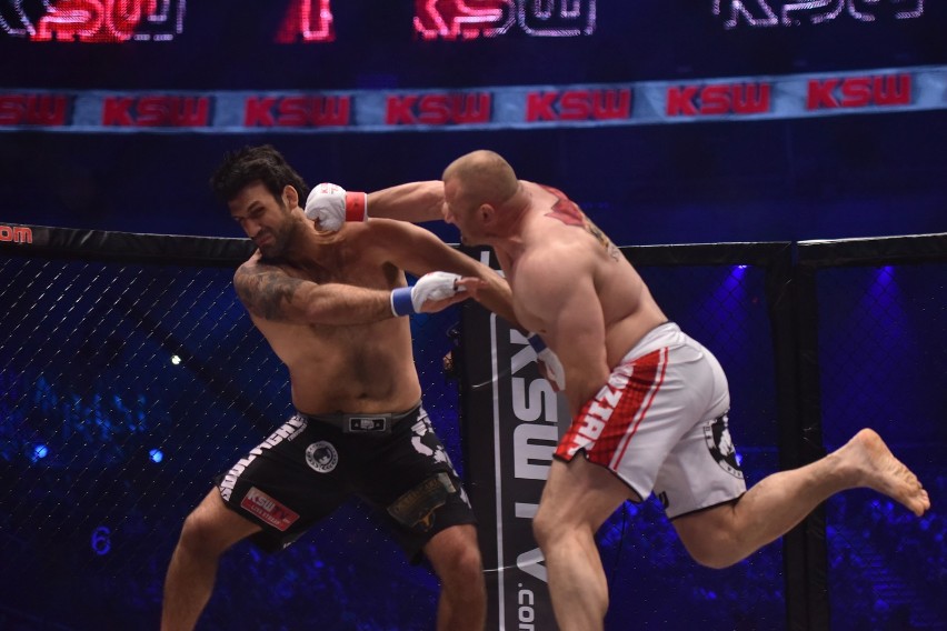 KSW 31