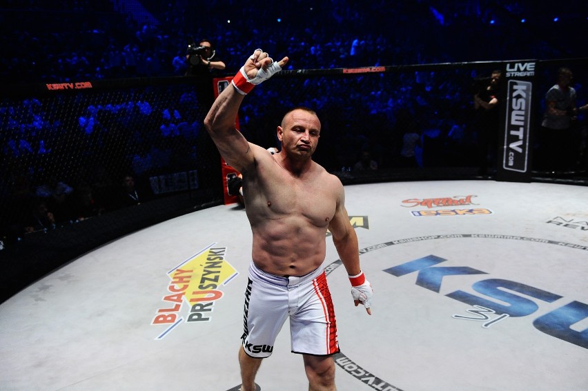 KSW 31