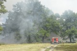 Czy to były podpalenia? Strażacy z Głogowa powiadomili policję w sprawie pożarów