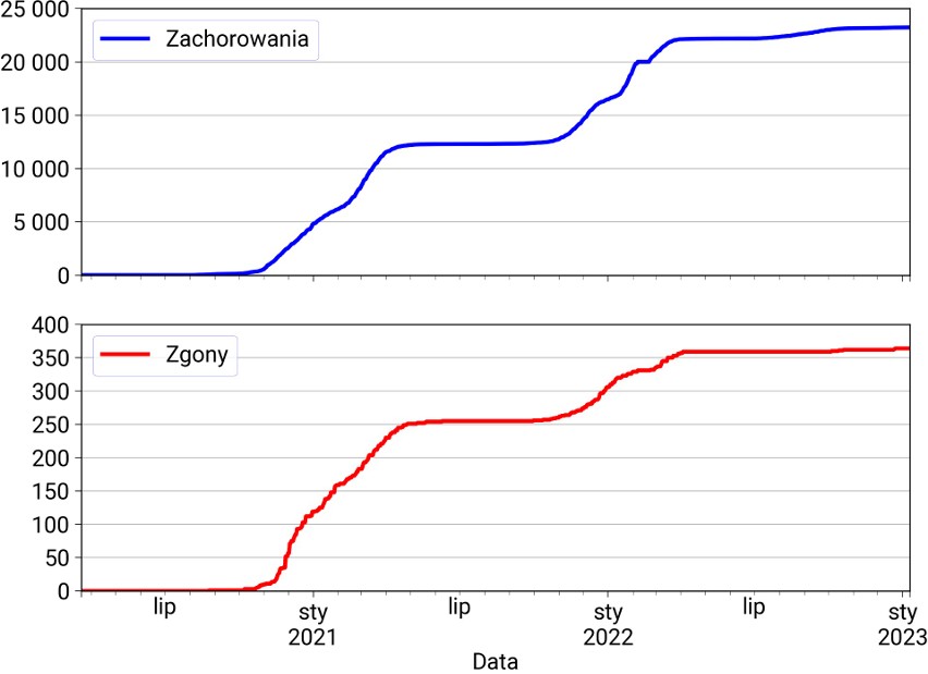 23 243 zakażonych, 364 zgony.