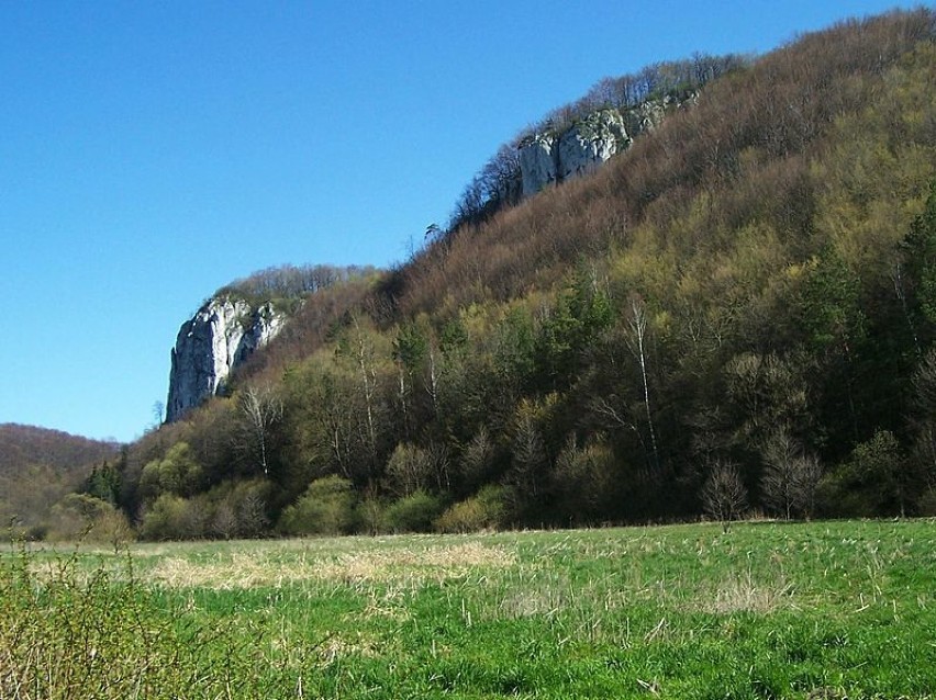 Blisko znajduje się także Sokolica - najwyższa skała...
