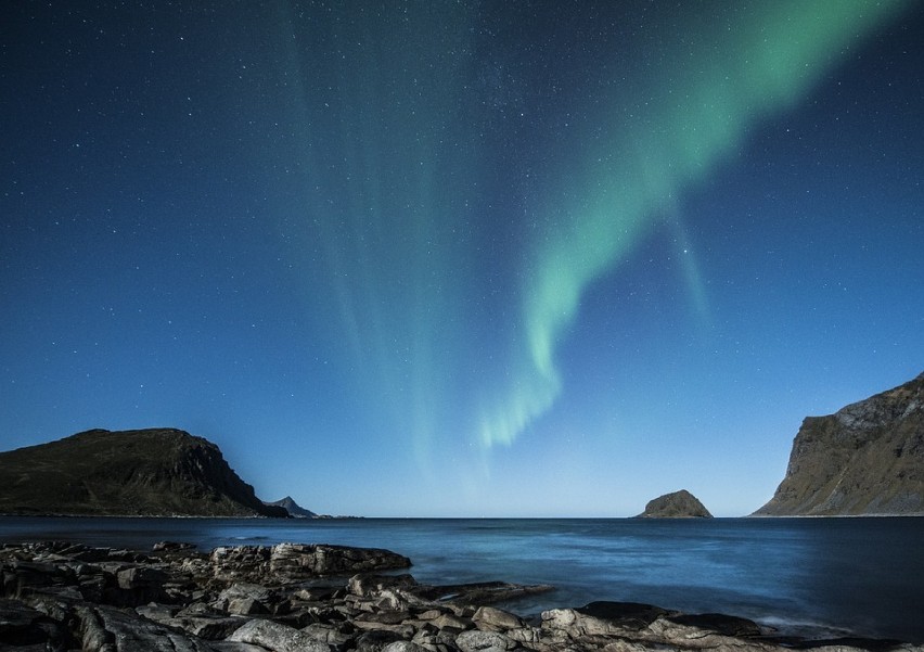 Norweska przyroda, wieloryby w Kaldfjorden i ten...