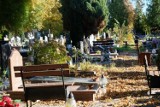 Wyszukiwarka grobów na cmentarzu w Żarach. Dzięki niej szybko zlokalizujesz grób, którego szukasz