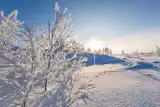 Jaka jest prognoza pogody na Boże Narodzenie 2023 w Czerniejewie? Czy będzie śnieg?