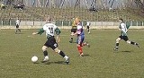 SKARB KIBICA V LIGA