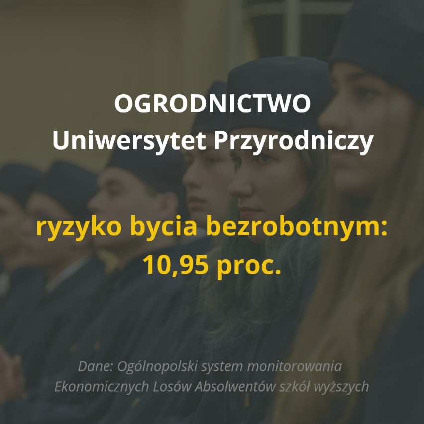 Po jakich studiach najdłużej będziesz bezrobotny? Tych kierunków unikaj jak ognia! [RAPORT]