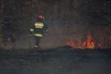 Policjanci z Kolbuszowej złapali sprawcę podpaleń. To strażak - ochotnik!