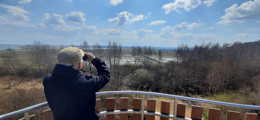 Wieża widokowa w Osłoninie