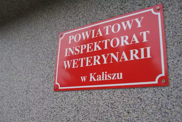 Nielegalne masarnie działały w Kaliszu i powiecie