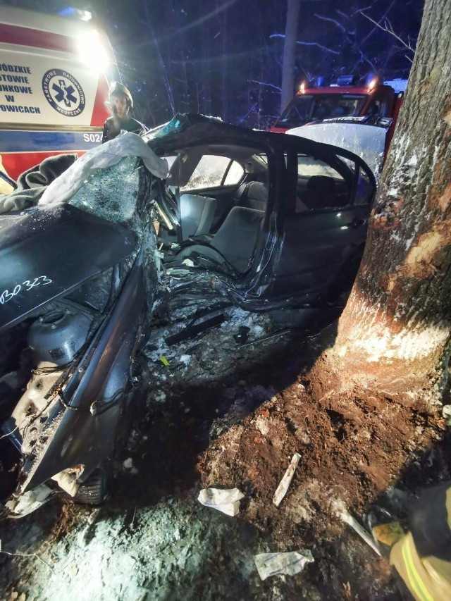 Osobowe BMW uderzyło w przydrożne drzewo w Palowicach