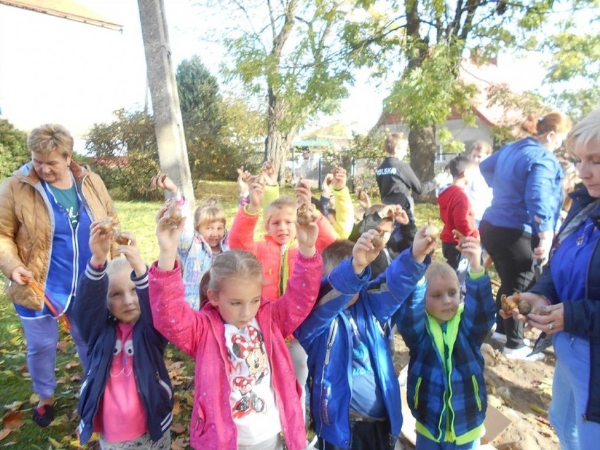 Góra. Szkoła w Glince chce pomagać Fundacji Wrocławskie Hospicjum dla Dzieci. Dołączyli do akcji Pola Nadziei [ZDJĘCIA]
