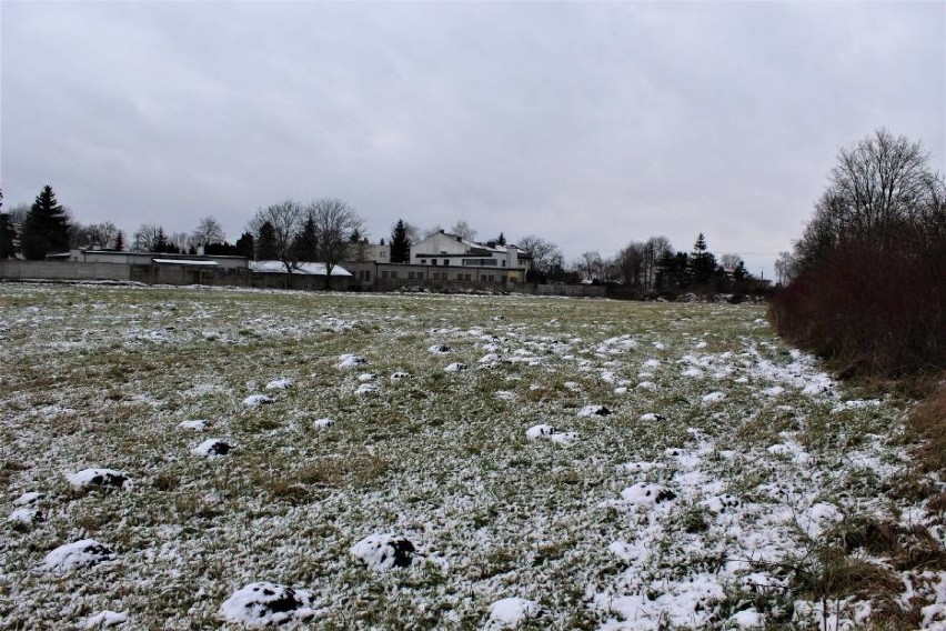 Premium Park w Łęczycy planowany jest na działce pomiędzy ul. Poznańską, a DK 91