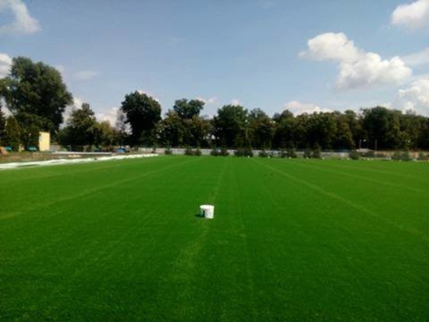 "Rośnie" trawa na sztucznym boisku przy stadionie
