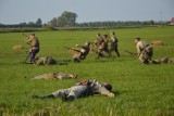 Dożynki gminy Wartkowice. Rekonstrukcja historyczna walk pod Gostkowem z 1914 roku atrakcją Święta Plonów (ZDJĘCIA i FILM)