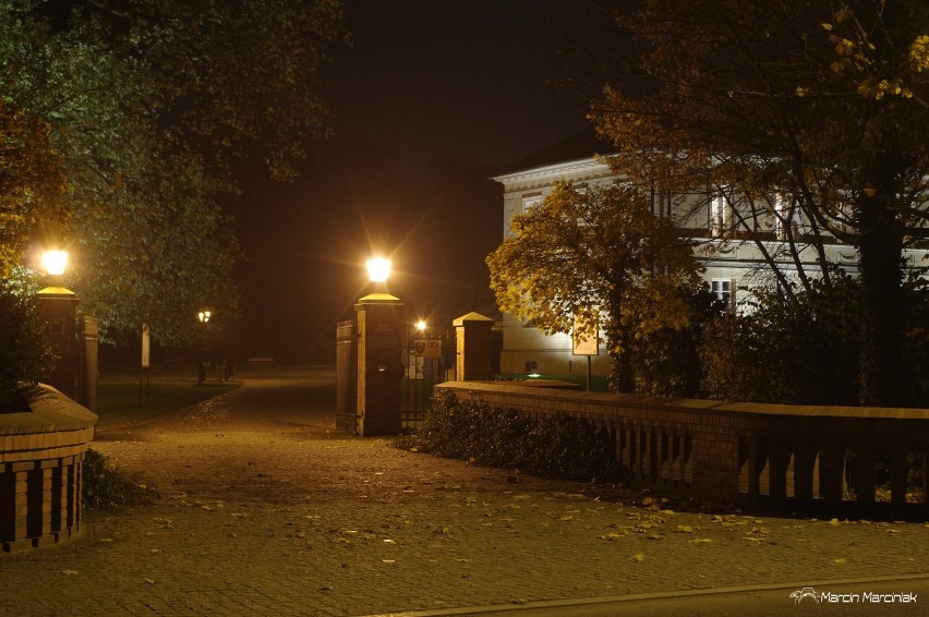 Tak wygląda dobrzycki park nocą w obiektywie Marcina Marciniaka