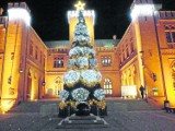 Ponad 800 tys. zł na świąteczne dekoracje - miasto wybiera dostawcę na trzy lata