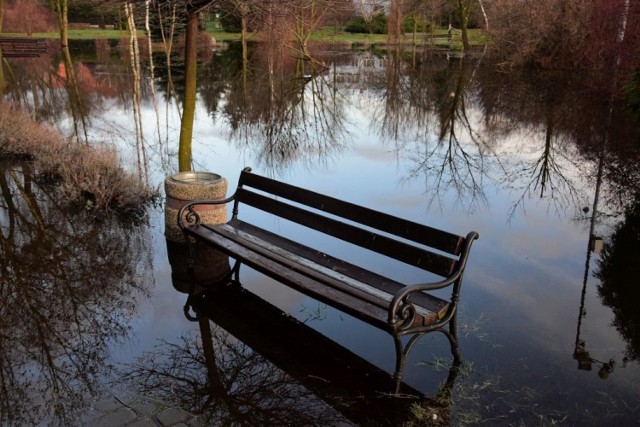 Mocno podwyższony poziom wody w Jeziorze Mogileńskim sprawił, iż zalana została cześć parku w Mogilnie. Alejki bliżej jeziora zostały zamknięte dla spacerujących.