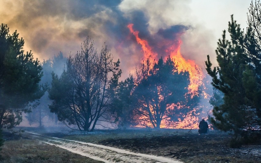 Gigantyczny pożar w Fordonie został wywołany około godziny...