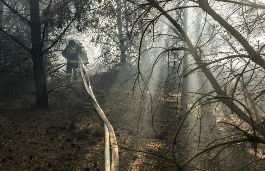 Gigantyczny pożar w Fordonie został wywołany około godziny...