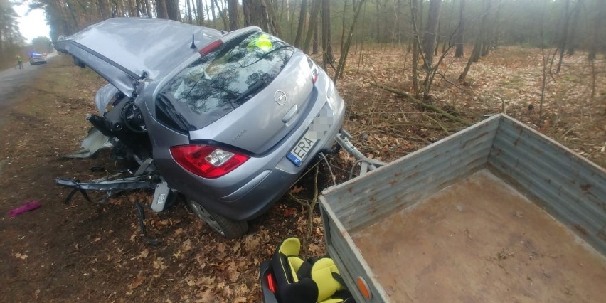 Gmina Przedbórz. Wypadek w Budach Nosalewickich. Wyprzedzał kilka pojazdów, wjechał w drzewo [ZDJĘCIA]