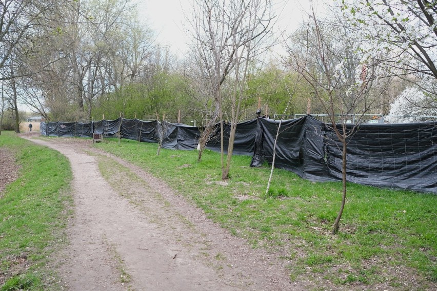 Warszawa. Wznowiono kontrowersyjną budowę placu zabaw na Dolince Służewieckiej. Niechcianej inwestycji strzegą miejskie służby