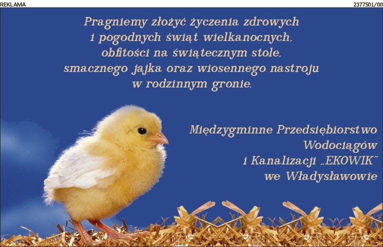 Wszystkiego najlepszego! Zobacz, kto składa życzenia mieszkańcom ziemi puckiej