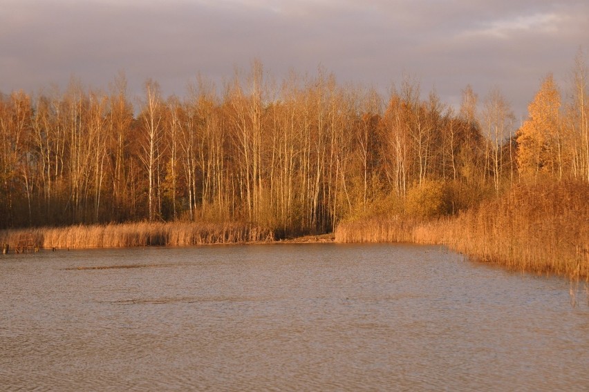 Basen w Kunicach jesienią