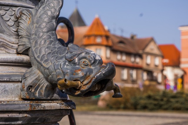 Wszystko wskazuje na to, że zima odpuściła. Ta kalendarzowa potrwa jeszcze niespełna miesiąc. Natomiast już 20 marca powitamy wiosnę. Dni będą coraz dłuższe i przede wszystkim cieplejsze.