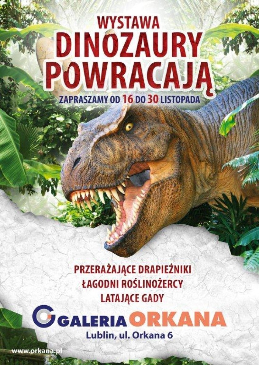 Dinozaury w Galerii Orkana