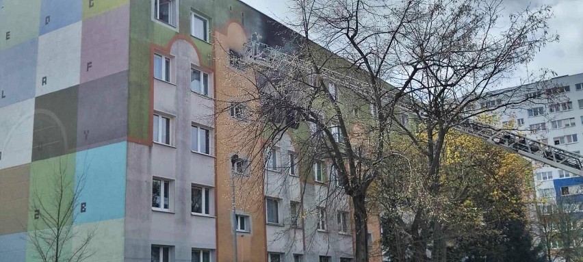 Pożar mieszkania przy ulicy Horyzontalnej w Legnicy, spłonęło doszczętnie, zdjęcia