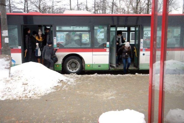 Ulice są przejezdne, przystanki oczyszczone, a mandaty za ...