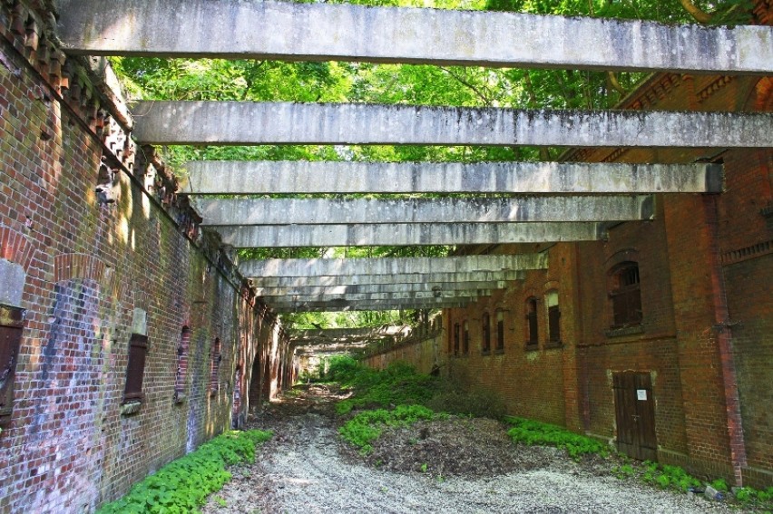 Fort III (na terenie Nowego Zoo) będzie dostępny bezpłatnie....