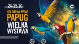 Cuprum Arena: Kolorowy Świat Papug